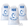 Plastic Ice Bag with Drawstring