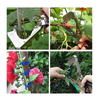 Plant Tying Gardening Tape Tool with 10 Rolls of Tapes And A Box of Staple