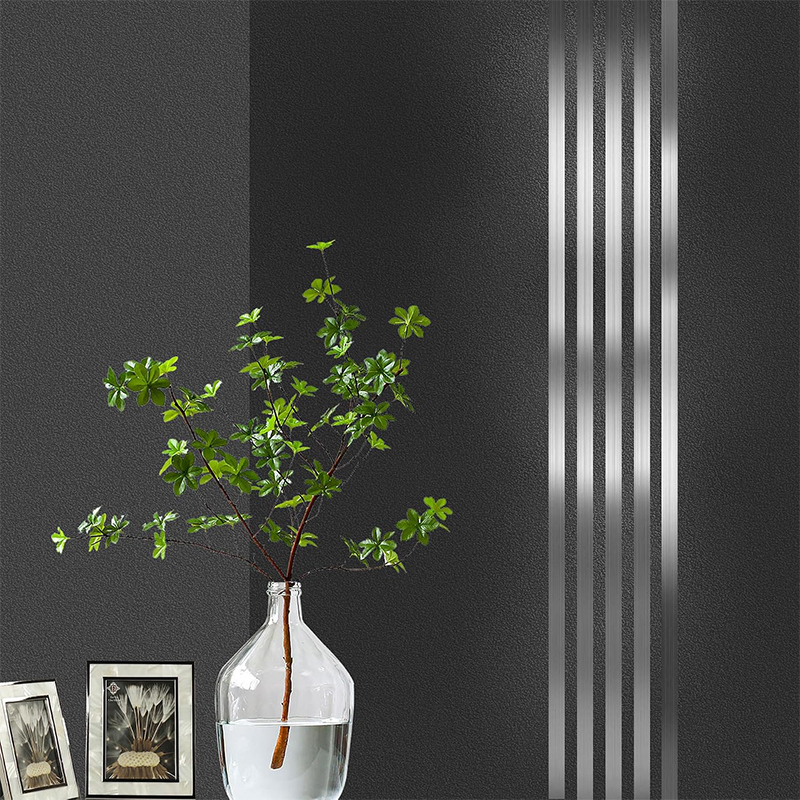 Self-Adhesive Stainless Steel Wall Molding Trim